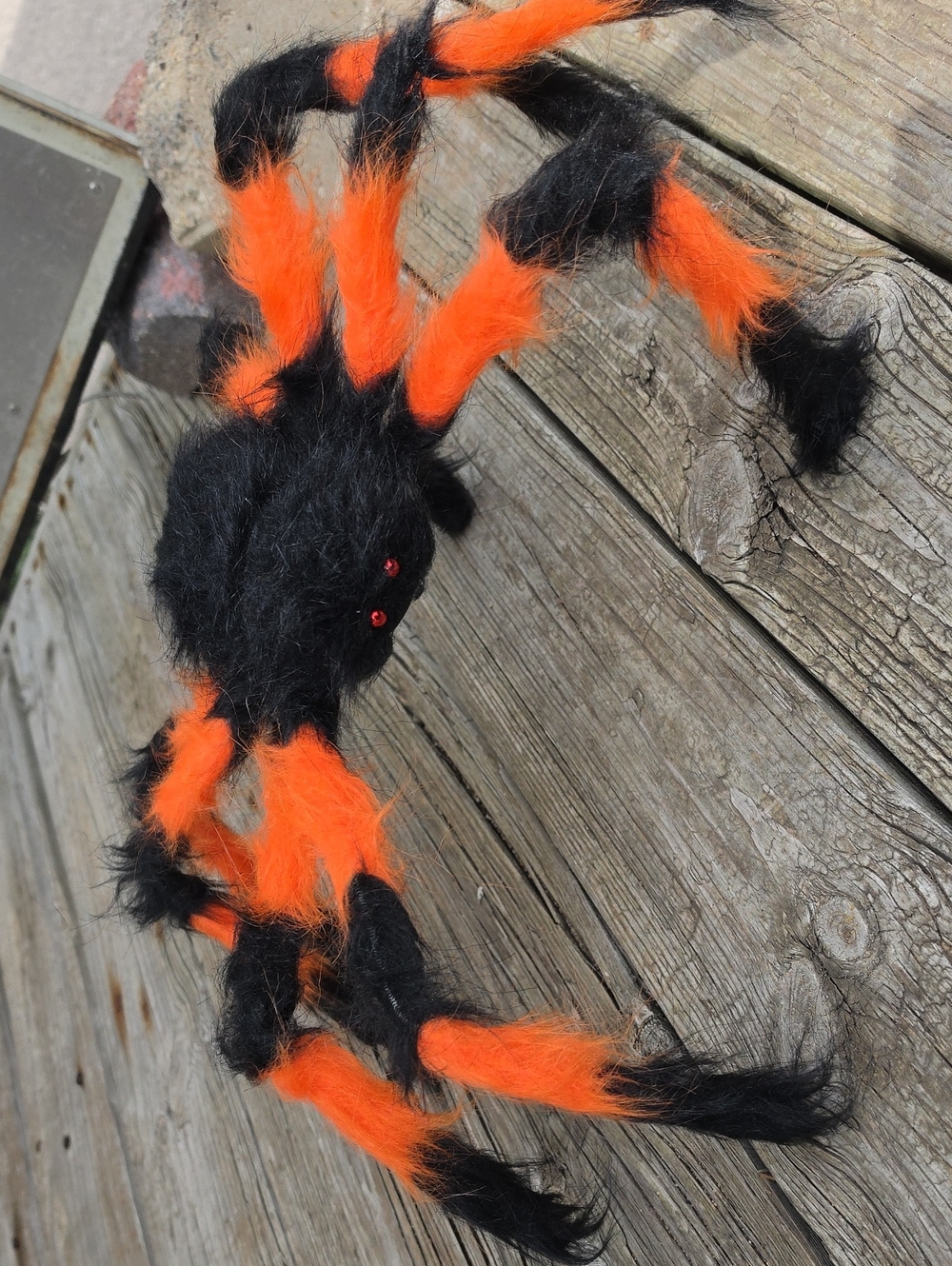 Black & Orange   Halloween Spider Decoration